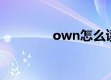 own怎么读（own的读法）