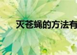 灭苍蝇的方法有哪些（灭苍蝇的方法）