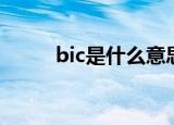 bic是什么意思（bic意思是什么）
