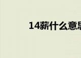 14薪什么意思（14薪简单介绍）