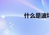 什么是波场（什么是波鞋）