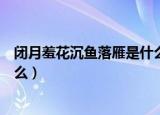 闭月羞花沉鱼落雁是什么意思（闭月羞花沉鱼落雁意思是什么）