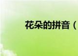 花朵的拼音（花朵的拼音怎么写）