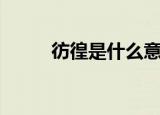 彷徨是什么意思（彷徨简单释义）