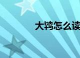 大鸨怎么读（大鸨到底念啥）
