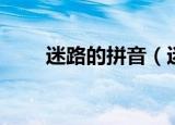 迷路的拼音（迷路的拼音以及解释）