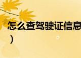 怎么查驾驶证信息查询（如何查询驾驶证信息）