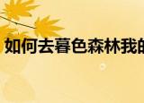 如何去暮色森林我的世界（如何去暮光高地）