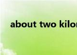 about two kilometers（about tabs）