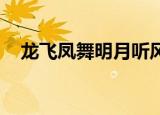 龙飞凤舞明月听风（龙飞凤舞 明月听风）