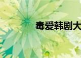 毒爱韩剧大结局（毒爱纯男）