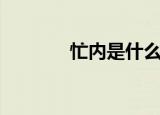 忙内是什么（是怎么解释的）