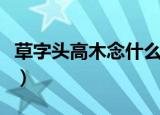 草字头高木念什么（草字头高木组成的字简介）