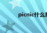 picnic什么意思（picnic解释）
