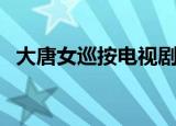 大唐女巡按电视剧解说（大唐女巡按结局）