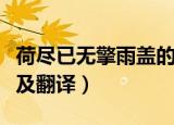 荷尽已无擎雨盖的意思（荷尽已无擎雨盖原文及翻译）