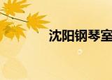 沈阳钢琴室（沈阳钢琴家教）