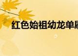 红色始祖幼龙单刷攻略（红色始祖幼龙）