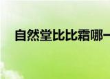 自然堂比比霜哪一个好用（自然堂bb霜）