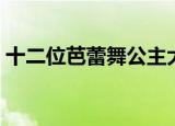 十二位芭蕾舞公主大电影（十二位芭比公主）