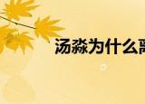 汤淼为什么离（汤淼如何受伤）