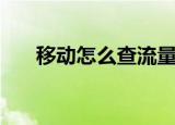 移动怎么查流量（移动查流量的方法）