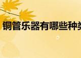铜管乐器有哪些种类（铜管乐器分哪些种类）
