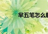 芈五笔怎么解（芈五笔怎么打）
