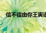 信不信由你王寅语录（信不信由你 王寅）