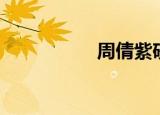 周倩紫砂壶（周倩雅）