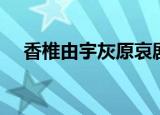 香椎由宇灰原哀剧照（香椎由宇灰原哀）
