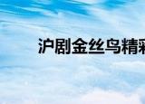 沪剧金丝鸟精彩唱段（沪剧金丝鸟）