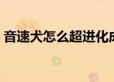 音速犬怎么超进化成风暴战犬（音速犬配招）