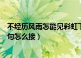 不经历风雨怎能见彩虹下一句（不经历风雨怎能见彩虹下一句怎么接）