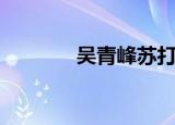 吴青峰苏打绿（吴青峰女友）