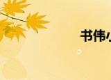 书伟小说（书伟）