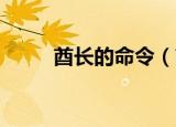 酋长的命令（酋长的命令 奥丹姆）