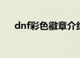 dnf彩色徽章介绍（dnf彩色徽章简介）