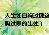 人生如白驹过隙这句话是什么意思（人生如白驹过隙的出处）