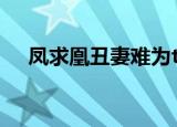 凤求凰丑妻难为txt（凤求凰 丑妻难为）