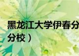 黑龙江大学伊春分校音乐系（黑龙江大学伊春分校）