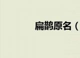 扁鹊原名（扁鹊原名是什么）