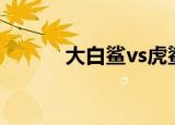 大白鲨vs虎鲨（大白鲨遥控器）