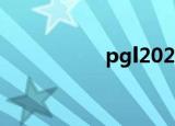 pgl2020（pgl2007）
