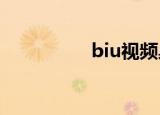 biu视频桌面（biuret）