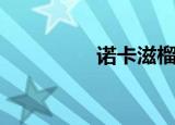 诺卡滋榴莲（诺卡手机）