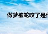 做梦被蛇咬了是什么预兆（做梦被蛇咬）