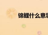 锦鲤什么意思（锦鲤意思什么）