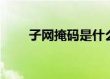 子网掩码是什么（它的作用是什么）