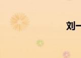 刘一网站导航
